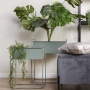 AUSSTELLUNGSSTÜCK Pflanzen-/Ablage Rack | Grün, klein