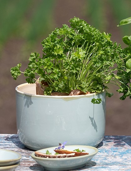 AQUA Gefäß/Vase niedrig