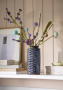 Kugelblume | Eucalyptus klein
