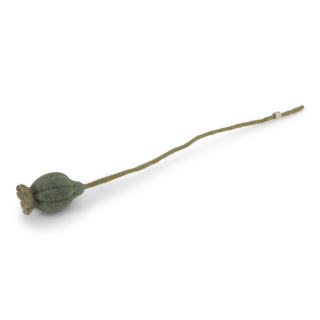 Mohnkapsel Filzblume