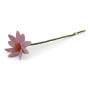 Cosmea Filzblume | Light Pink