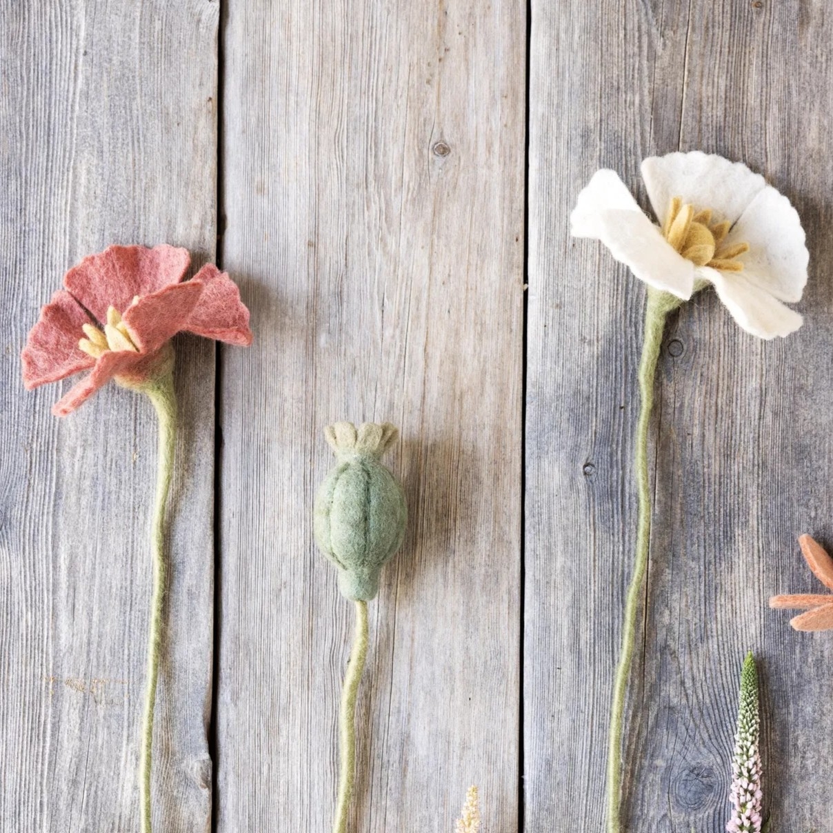 Mohn Filzblume  | Weiß