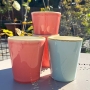 Kleiner Becher ohne Henkel, Grün & Form