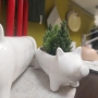 PIGGY Blumentopf