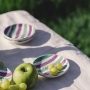 Kleine Tellerreibe Grün/Weiß/Lila