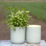 AQUA Gefäß/Vase hoch